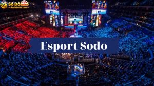 Esport sodo